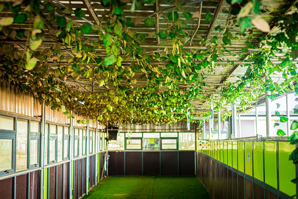 Conference venue
